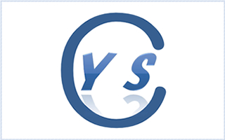 Y's株式会社